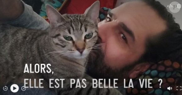 La mort d'un chat choque dans "Plus belle la vie"