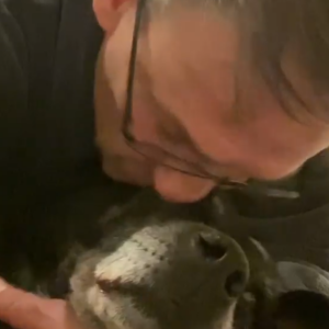 Julien Courbet en deuil, il annonce la mort de sa chienne Vega - Instagram