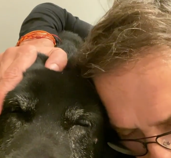 Julien Courbet en deuil, il annonce la mort de sa chienne Vega - Instagram
