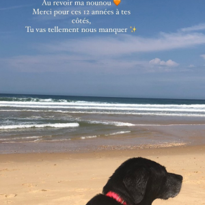 Lola Courbet, la fille de Julien Courbet, rend hommage à leur chien Vega, décédée à l'âge de 16 ans - Instagram