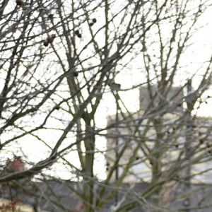 Le prince William, duc de Cambridge et Kate Catherine Middleton, duchesse de Cambridge, en visite à l'école 21 à Londres. Le 11 mars 2021