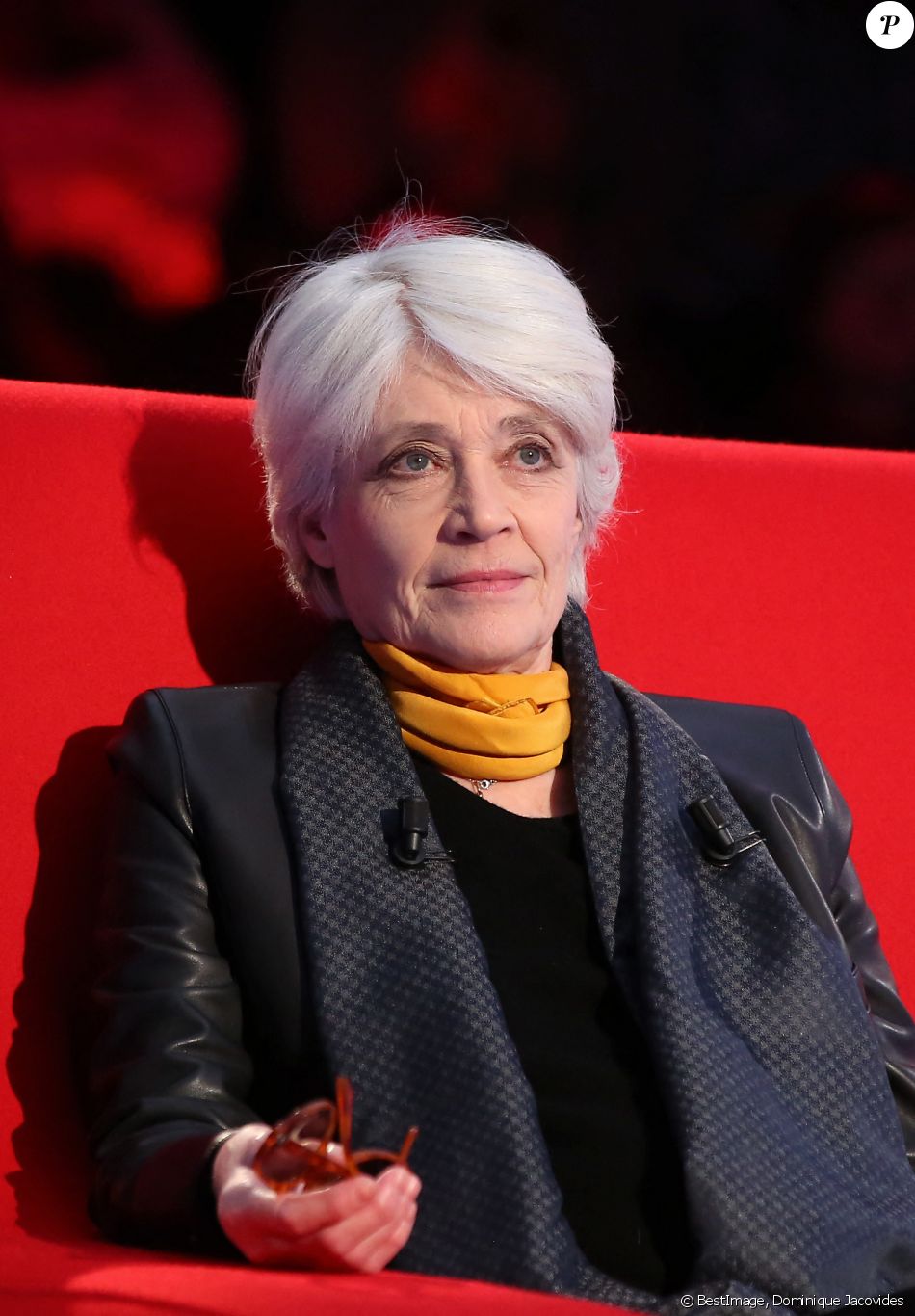 Exclusif - Enregistrement de l'émission "Le Divan" présentée par Marc-Olivier Fogiel avec Françoise Hardy en invitée, le 29 janvier 2016. Elle sera diffusée le 16 février 2016 sur France 3. © Dominique Jacovides / Bestimage