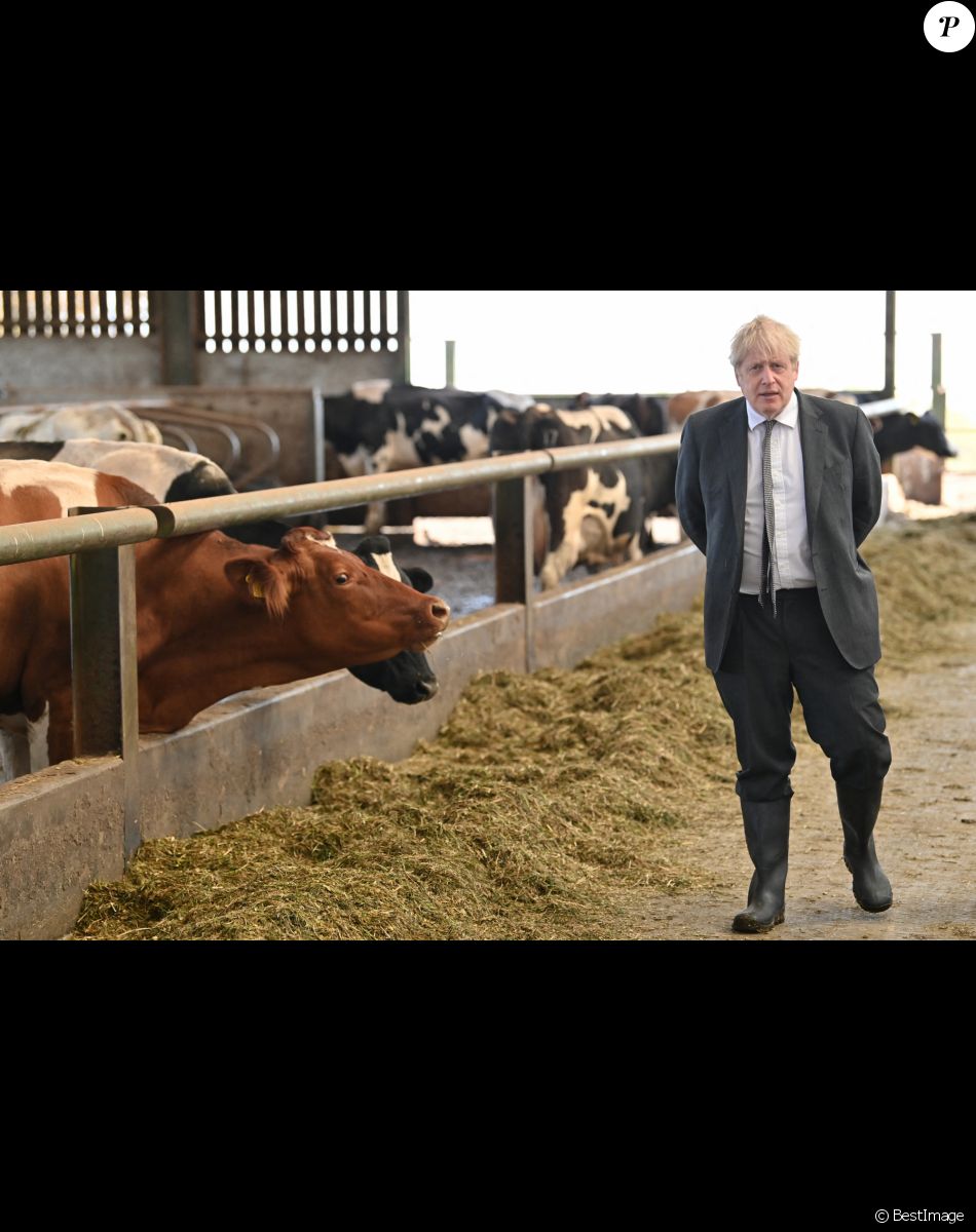 Le Premier ministre britannique Boris Johnson visite à la ferme Moreton à Clwyd, Royaume Uni, le 26 avril 2021.