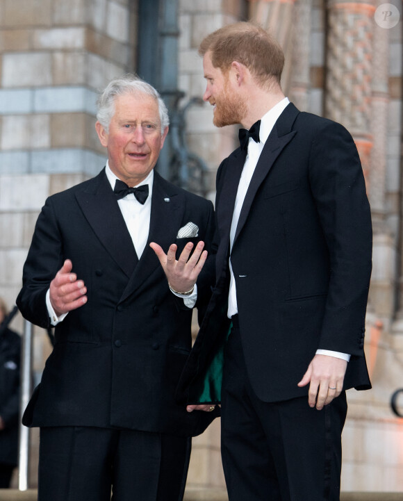 Le prince Charles, prince de Galles, le prince Harry, duc de Sussex, à la première de la série Netflix "Our Planet" au Musée d'Histoires Naturelles à Londres, le 4 avril 2019.