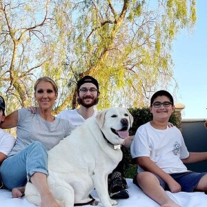 Céline Dion pose avec ses trois fils sur Instagram.