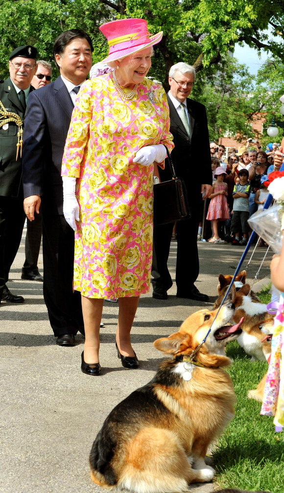 La reine Elizabeth II heureuse de rencontrer un propriétaire de corgi en juillet 2010 à Winnipeg au Canada.