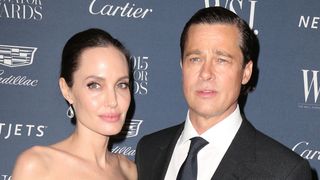 Angelina Jolie en guerre contre Brad Pitt : leur domaine de Miraval en danger ?