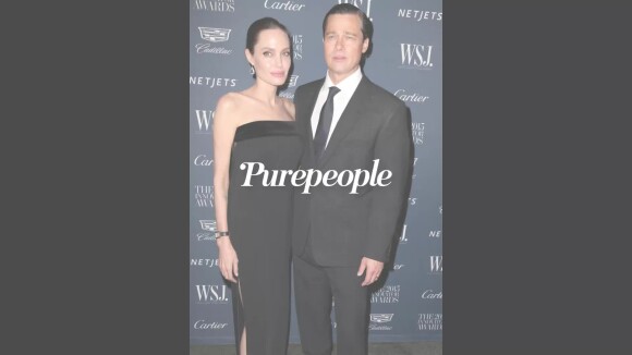 Angelina Jolie en guerre contre Brad Pitt : leur domaine de Miraval en danger ?