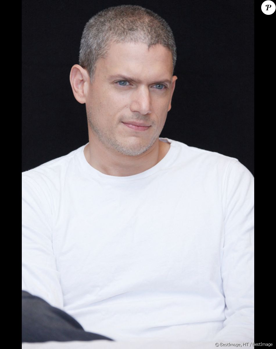 Wentworth Miller - Les acteurs de la série "Prison Break" en conférence de presse au Hilton Hotel pour le Comic Con à San Diego. Le 24 juillet 2016