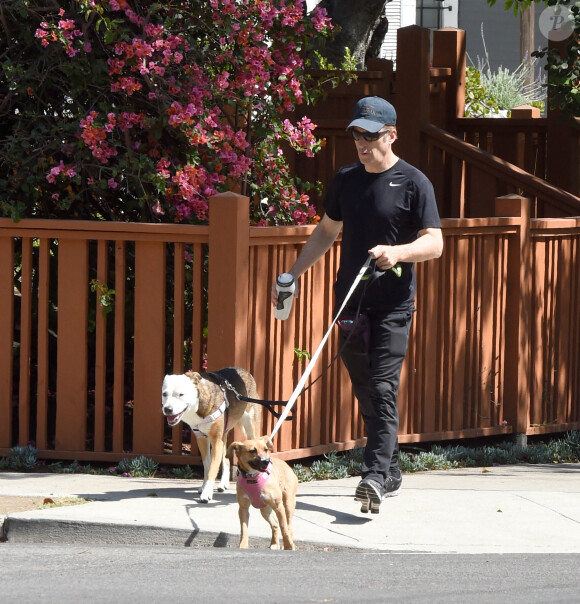 Exclusif - Bob Odenkirk promène ses chiens à Los Angeles, Californie, Etats-Unis, le 27 mai 2021.