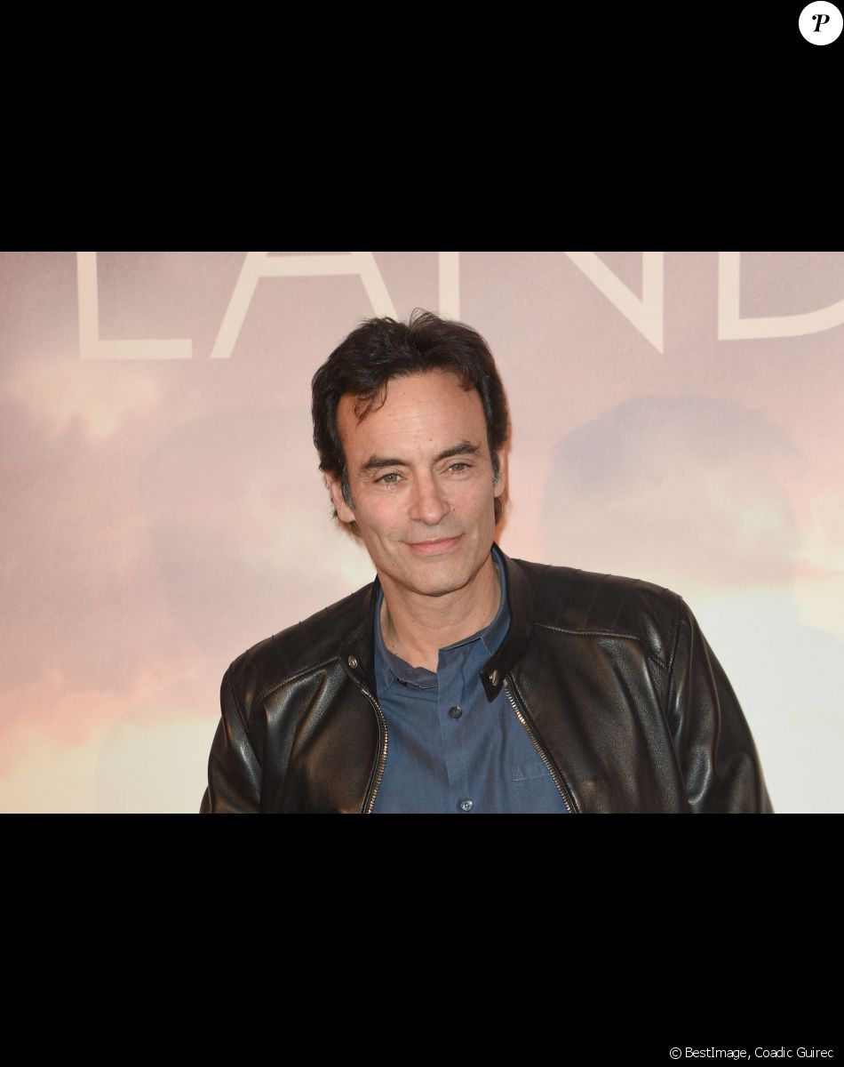 Anthony Delon à l'avant-première du film "Holy Lands" au cinéma UGC Normandie à Paris, France, le 4 décembre 2018. © Coadic Guirec/Bestimage