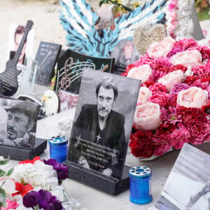 Exclusif - Illustration de la tombe de Johnny Hallyday au cimetière de Lorient à Saint-Barthélemy le 20 juillet 2020