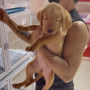 Benjamin Samat offre un chien à Maddy Burciaga pour leur 1 an ensemble - Instagram