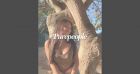 Jade Hallyday : L'adolescente s'affiche complice avec Aliosha Lespert