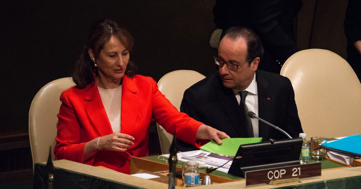 Ségolène Royal clashe son ex François Hollande : "Aucun affect, aucune  reconnaissance" : Le diaporama - Ode (Purepeople)