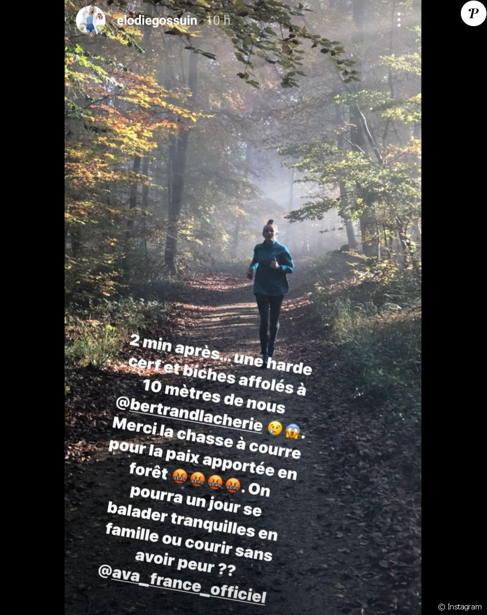 Élodie Gossuin révèle avoir échappé à un accident en forêt alors qu'elle était en famille.