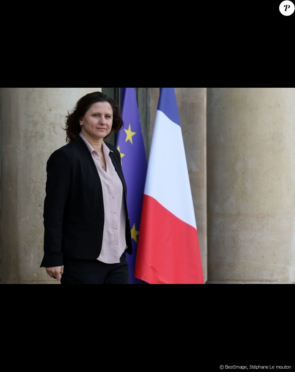 Roxana Maracineanu, ministre des sports - Sorties du Conseil des ministres du mercredi 29 janvier au palais de l'Elysée à Paris. © Stéphane Le mouton / Bestimage
