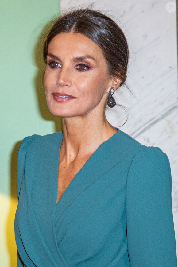 La reine Letizia d'Espagne lors d'une réception à la résidence de l'ambassadeur d'Espagne à Stockholm à l'occasion d'une visite de deux jours du couple royal d'Espagne en Suède le 25 novembre 2021.