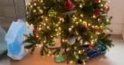 M. Pokora, Christina Milian et leurs fils Kenna et Isaiah à Noël.