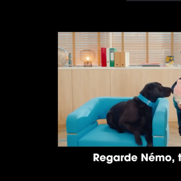 Camille Combal et Nemo, le chien présidentiel, dans le clip de campagne de l'Opération Pièces Jaunes 2022.