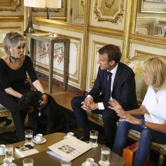 Exclusif - Brigitte Bardot (qui caresse Nemo le chien d'Emmanuel Macron) reçue à l'Élysée en tant que présidente de la Fondation Brigitte Bardot par le président de la république Emmanuel Macron et sa femme Brigitte Macron pour évoquer la condition animale à l'Élysée Paris le 24 juillet 2018. © Fondation Brigitte Bardot / Bestimage