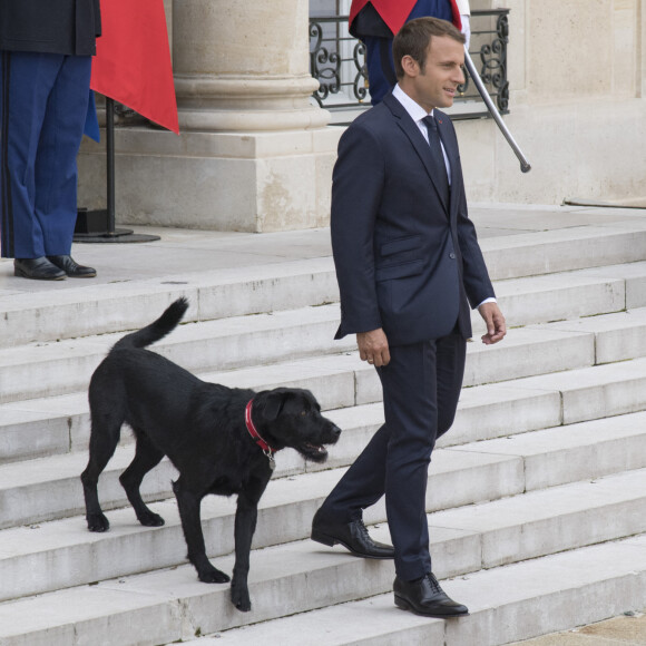Le président Emmanuel Macron et son chien Nemo sur le perron du palais de l'Elysée à Paris le 28 août 2017 © Pierre Perusseau / Bestimage