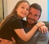 David Beckham est fou de sa fille Harper Seven. La tendresse qu'il lui montre suscite pourtant des réactions négatives.