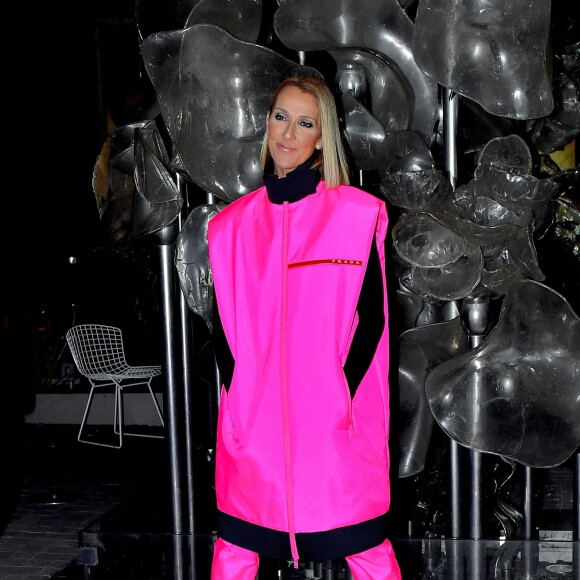 Céline Dion prend la pose pour les photographes après son show au Barclay's Center à New York, le 5 mars 2020.