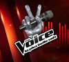 "The Voice", le logo.