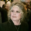 "Brigitte Bardot, c'est ma copine" assure Eric Zemmour : elle lui dit ses 4 vérités...