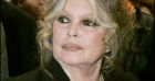 Eric Zemmour clamant son amitié avec Brigitte Bardot devant les caméras de C à vous sur France 5