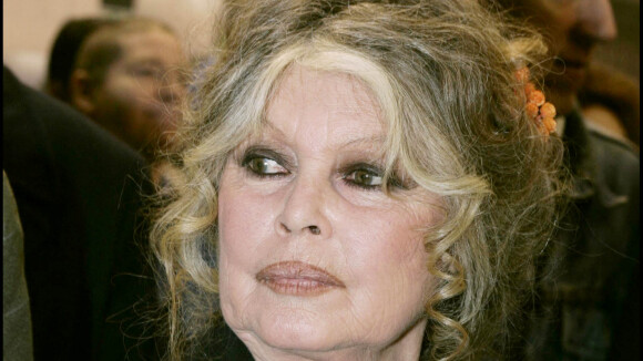 "Brigitte Bardot, c'est ma copine" assure Eric Zemmour : elle lui dit ses 4 vérités...