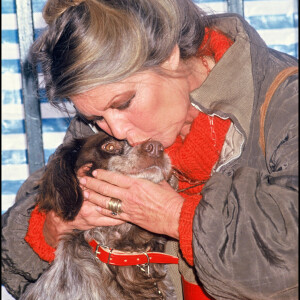 Brigitte Bardot à Toulouse (archive)