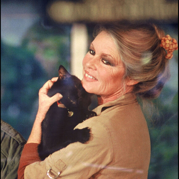 Brigitte Bardot dans un local de la SPA (archive)