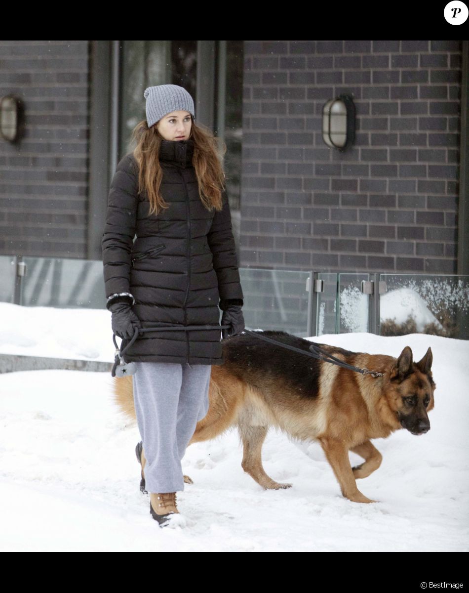 Exclusif - Shailene Woodley promène son chien, un berger allemand, dans les rues enneigées à Montréal, Québec, Canada, le 25 février 2021.