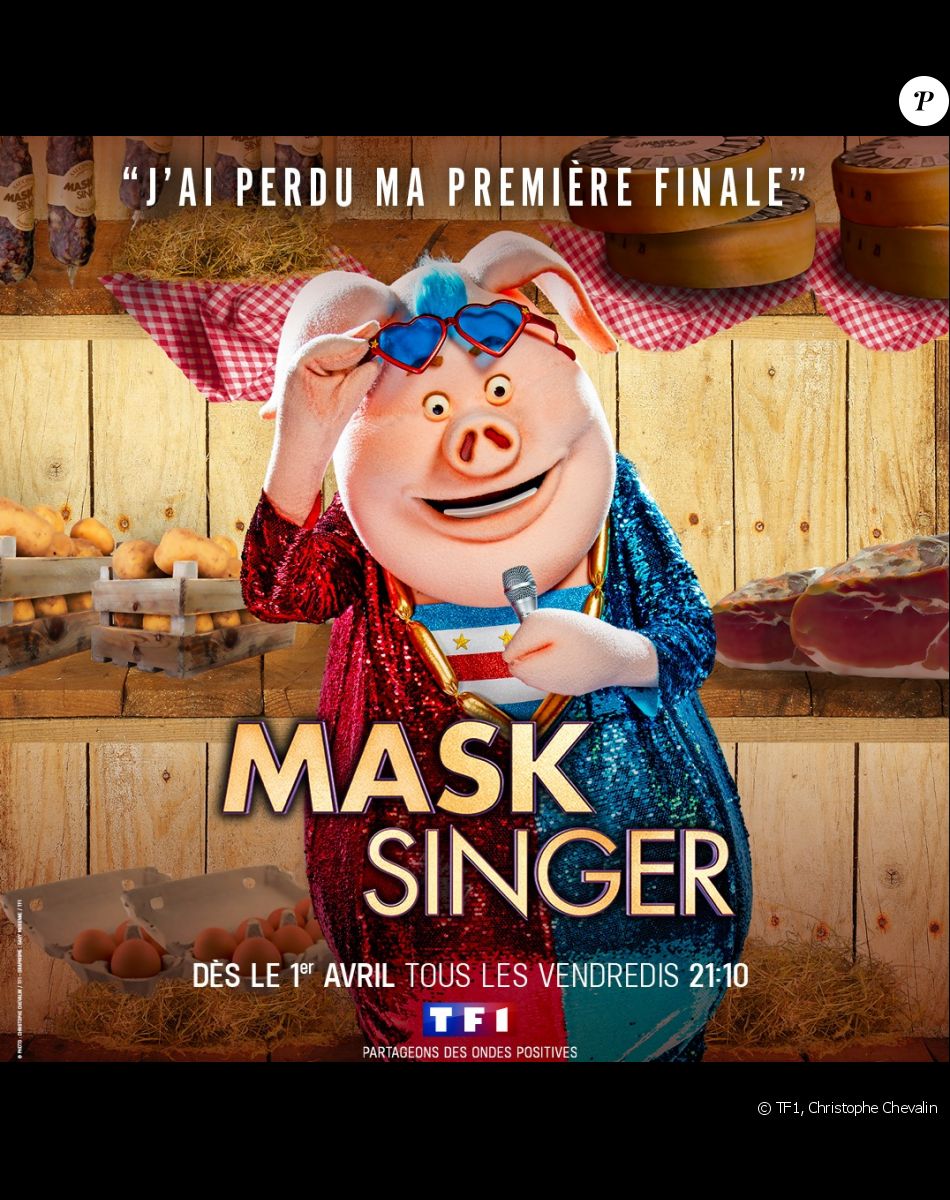 Nouveau costume de "Mask Singer 2022"