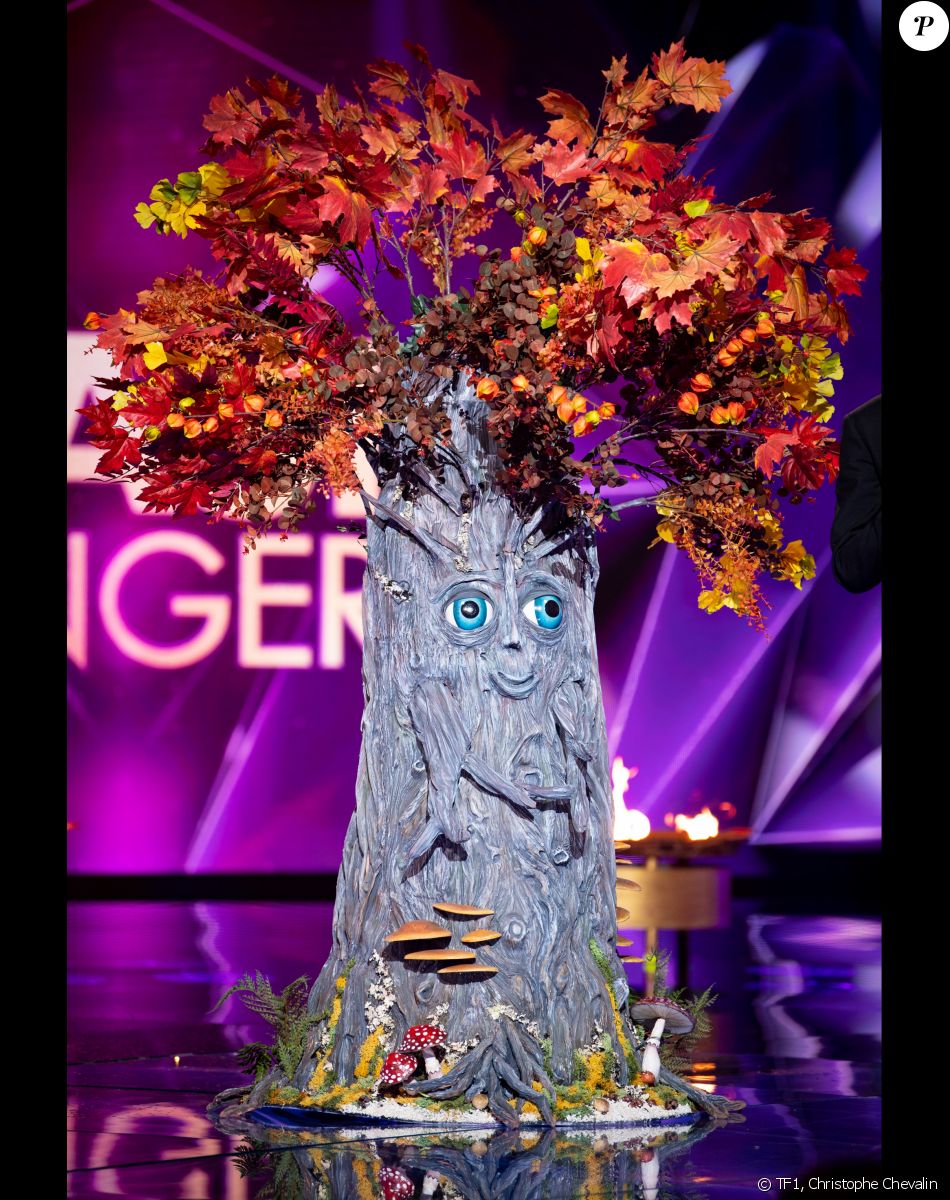 Nouveau costume de "Mask Singer 2022"