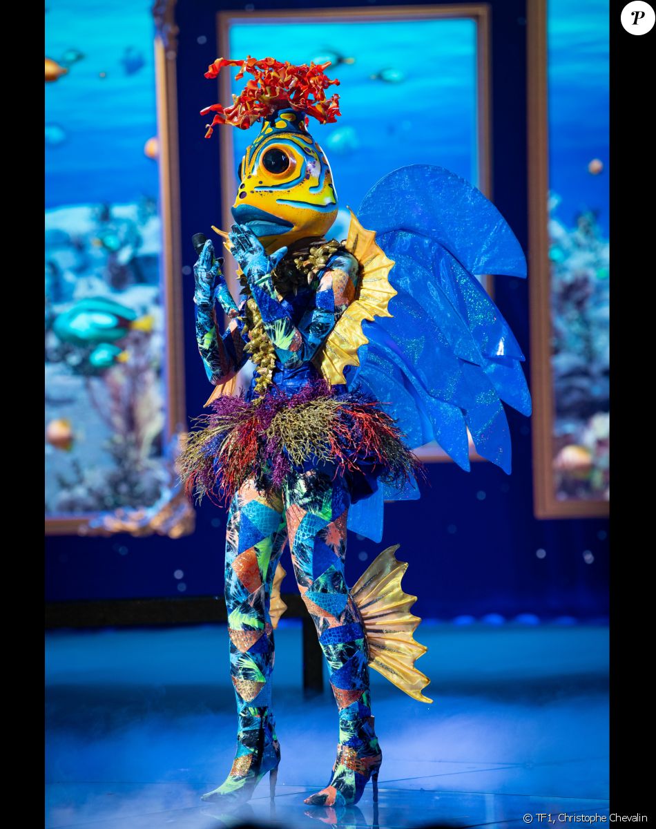 Nouveau costume de "Mask Singer 2022"