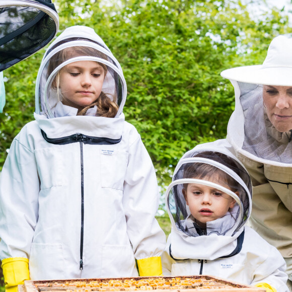 La princesse Victoria de Suède, avec ses enfants le prince Oscar et la princesse Estelle, visite un apiculteur à l'occasion de la journée mondiale des abeilles à Solna le 18 mai 2020.
