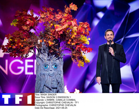 L'arbre - Mask Singer saison 3, lancement sur TF1 le 1er avril 2022.