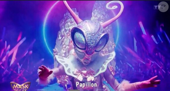 Le Papillon lors de l'émission "Mask Singer 2022" du 8 avril, sur TF1