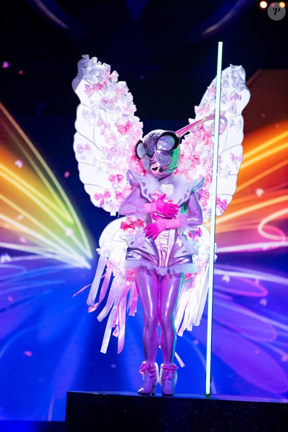 Costume du Papillon de "Mask Singer 2022"