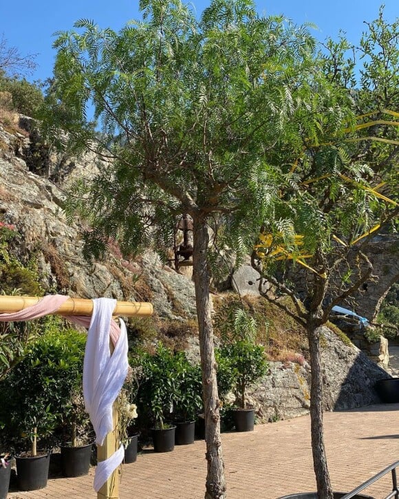 Christine Bravo a dévoilé en photos ses cadeaux reçus pour son mariage en Corse : des plantes, des arbres... Instagram, juin 2022.