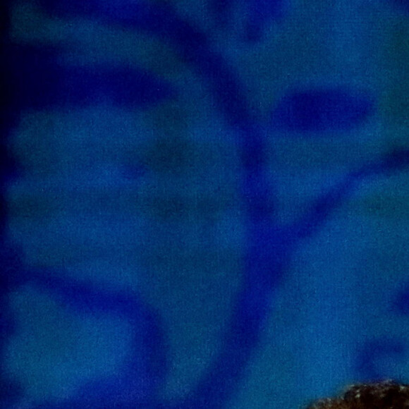 Exclusif - Florent Peyre et sa compagne Virginie Stref - Enregistrement de l'émission "La Chanson secrète 11" à Paris. © Jacovides-Moreau / Bestimage