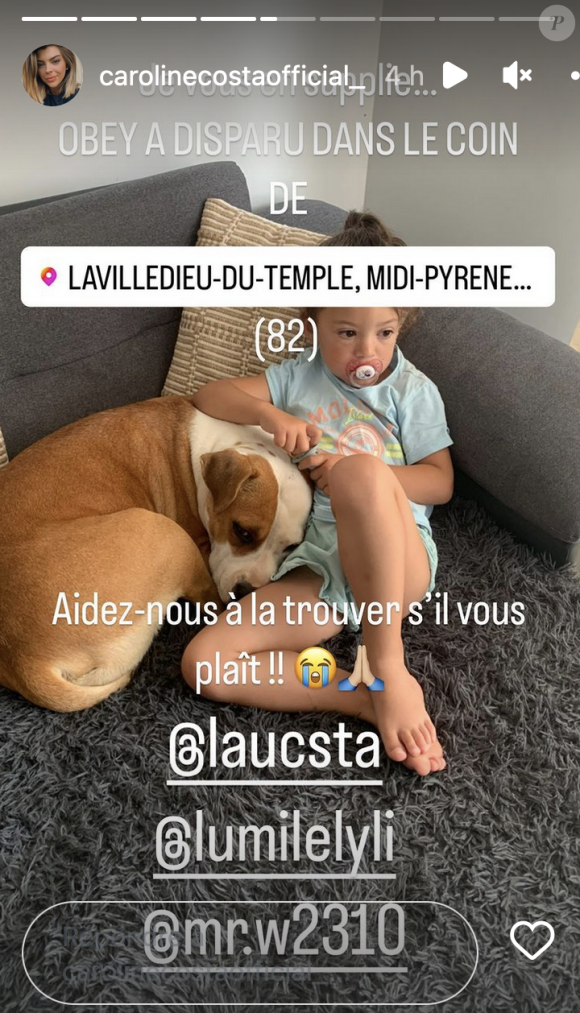Caroline Costa (The Voice) a annoncé la mort de son chien Obey - Instagram