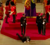 Un garde s'est évanoui en pleine veillée funèbre de la reine Elizabeth II à Westminster Hall (Londres).