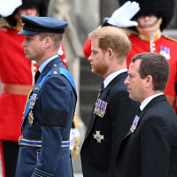 Funérailles d'Elizabeth II : William et Harry, les frères "ennemis" unis dans ce moment historique