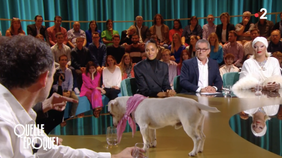 Le chien de Jean-Paul Rouve s'invite sur le plateau de "Quelle époque !" - France 2