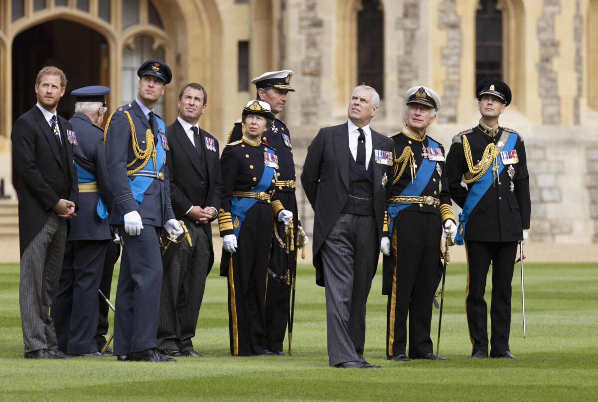 Vidéo Le prince Harry, duc de Sussex, Le prince William, prince de