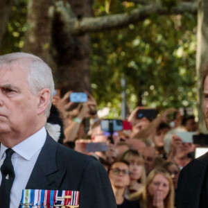 Le prince Andrew, duc d'York, le prince Harry et le prince Edward, duc de Wessex - Procession cérémonielle du cercueil de la reine Elisabeth II du palais de Buckingham à Westminster Hall à Londres le 14 septembre 2022. © Photoshot / Panoramic / Bestimage 